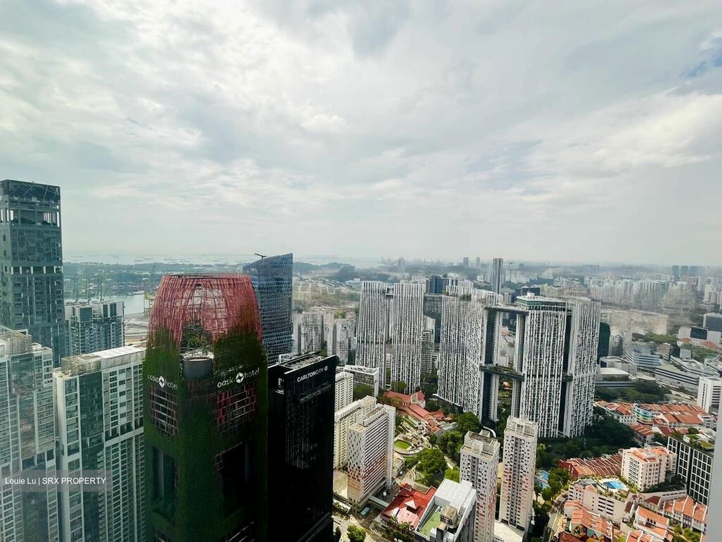 Wallich Residence  (D2), Condominium #456821811